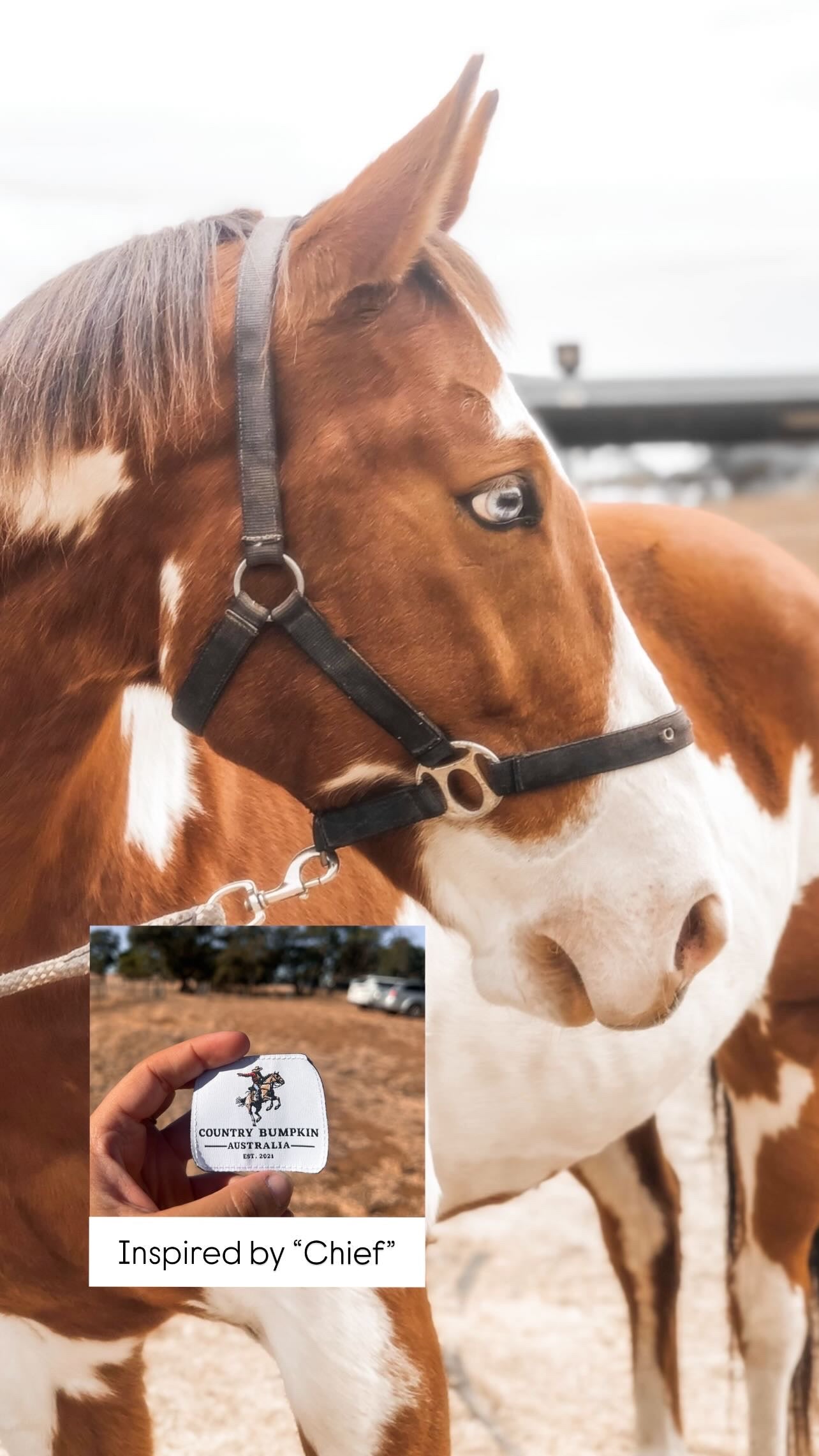 UNISEX “Outrider” TEE