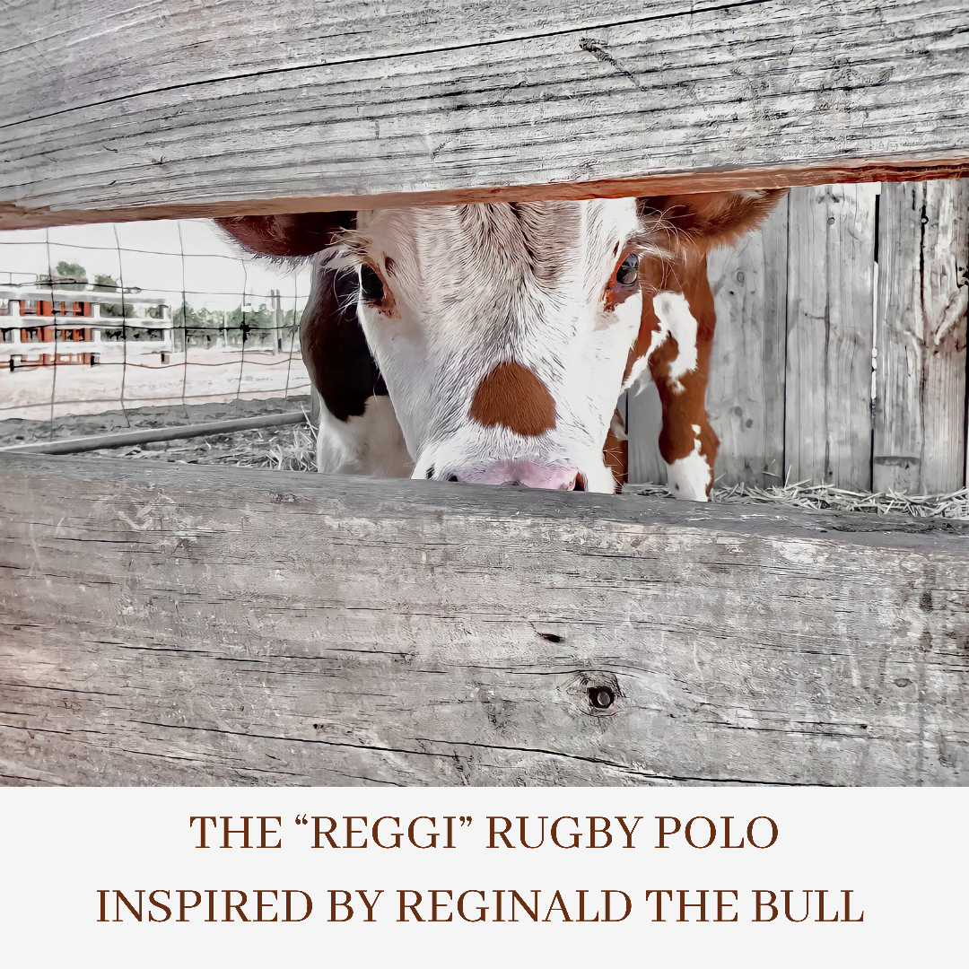 UNISEX “Reggi” RUGBY POLO - OUT OF STOCK!